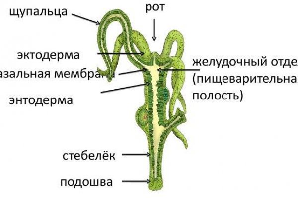 Кракен шоп krakenweb site