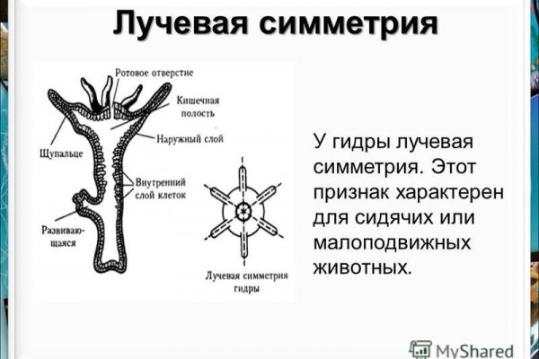 Кракен сайт 13at