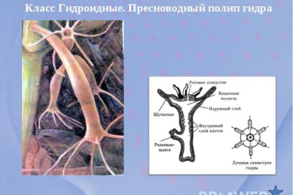 Как зарегистрироваться на кракене маркетплейс