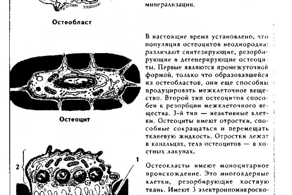 Сайт кракена в торе