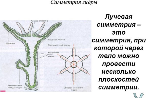 Украли аккаунт на кракене